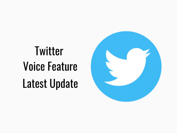 Twitter voice feature