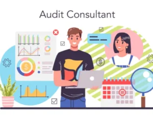 CRO Audit